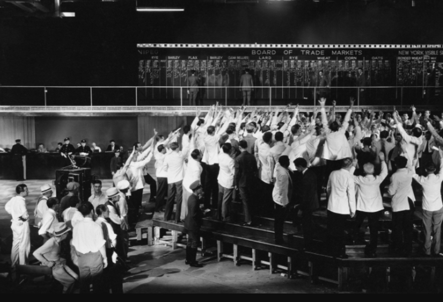 imagem_2025-08-07_135654772